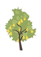Pear fruit tree flat icon Agriculture cultivation vector