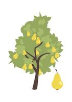Sweet pear fruit tree flat icon Agriculture and gardening vector