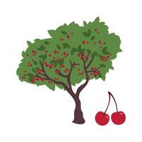 Sweet cherry fruit tree flat icon Agriculture and gardening vector