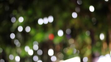 A blurry image of a tree with lights video