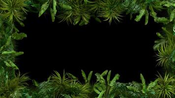 Tropical Plant Frame Loop - Green Leaves Swaying Animation with Transparent Alpha Channel. 3D rendering video