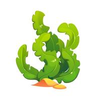 Underwater cartoon seaweed, coral reef sea algae vector