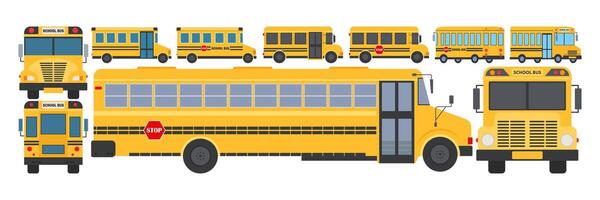 Different styles of yellow school buses vector