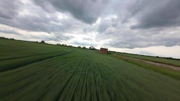 View Aerial Drone Passage Over Crop Patterns and Green Riverbank in UK Farmland video