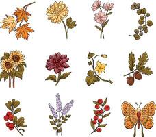 Colorful autumn flowers and leaves illustrations vector
