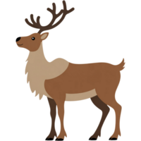Brown Deer Standing on White Background png