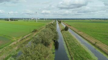 Sweeping High Angle Drone Reveal of Turbine Ranks and Wet Grasslands video