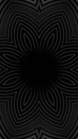 Black and white photo of flower with black background. Kaleidoscope VJ loop Vertical video