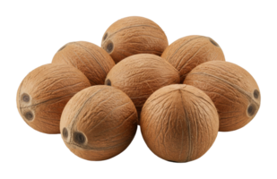 Coconut harvesting event tropical farm food imagery outdoor setting close-up perspective png