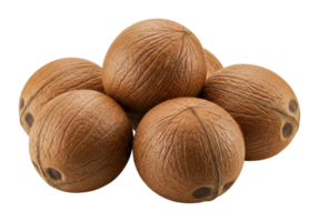 Harvesting fresh coconuts tropical fruit collection island market food photography natural setting png