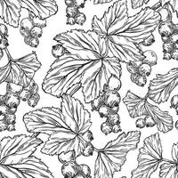 Blackcurrant berry, branches and leaves. Summer seamless surface pattern design of garden plant. Hand drawn botanical endless background of ink plants for cosmetics packaging, fabric, table textile vector
