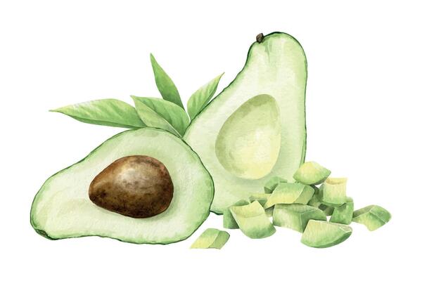 Ripe green avocado halves fruit, slices, pulp and leaves. Isolated hand draw watercolor illustration. Food arrangement of vegan vegetables for menu, packaging of food, cards, recipe