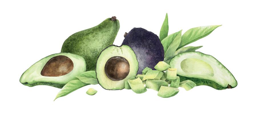 Avocado composition of halves fruit, whole hass avocado, slices, pulp and leaves. Isolated watercolor illustration of green vegetables for menu, packaging of food, cosmetics, cards, recipe