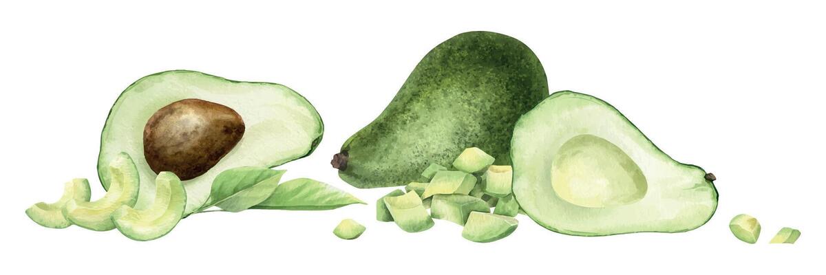 Ripe green avocado, halves fruit, slices, pulp and leaves. Isolated watercolor illustration. Horizontal arrangement of vegan vegetables for menu, packaging of food, cards, recipe