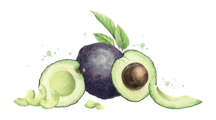 Whole hass avocado, halves fruit, slices, pulp, leaves and splashes. Isolated watercolor illustration. Horizontal composition of green vegetables for menu, packaging of food, cards, recipe