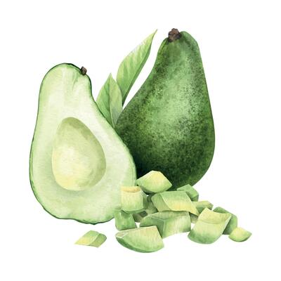 Green whole avocado fruit, half, slices and leaves. Isolated hand draw watercolor illustration. Food botanical arrangement of vegan vegetables for menu, packaging of food, cards, recipe