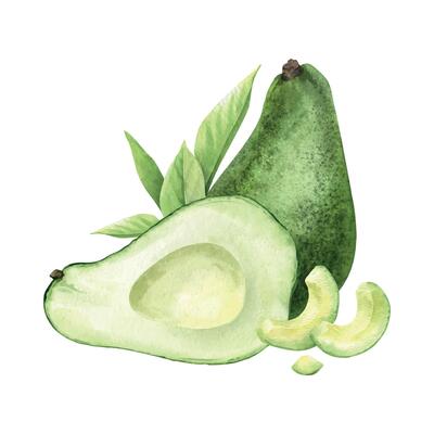 Avocado, half and whole fruit, slices and leaves. Isolated hand draw watercolor food illustration. Botanical arrangement of vegan green vegetables for menu, packaging of food, cards, recipe