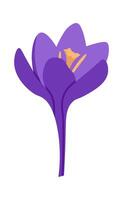 Bright purple crocus spring-flowering plant flat icon Flat Illustration Icon vector