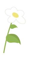 Spring chamomile flower flat icon Holiday Flat Illustration vector
