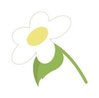 Spring chamomile flower flat icon Holiday Illustration vector