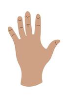 Showing hand and fingers flat icon Hand Drawn vector
