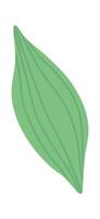 Leaf of spring flower flat icon Flat Illustration vector