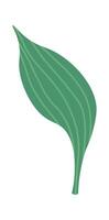 Leaf of spring flower flat icon Icon vector