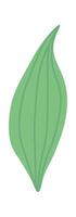 Leaf of spring flower flat icon Drawn Icon vector