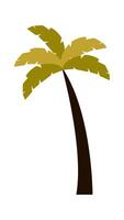Palm tree flat icon Beach green plant vector