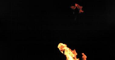 Fire on a black background photo