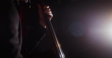 A person holding a cello in front of a light photo