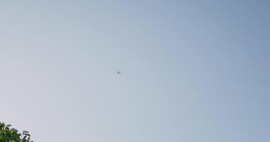 A plane flying in the sky above a tree photo