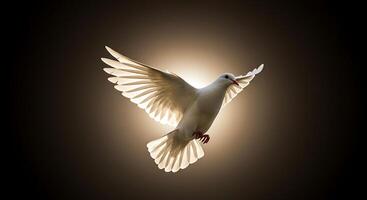 A white dove flying in the air with its wings spread photo