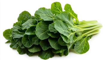 A bunch of fresh green collard greens with stems on a plain white surface in a studio shot photo
