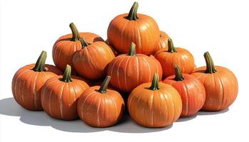 A pile of pumpkins with visible stems arranged on a white background in a studio setting photo