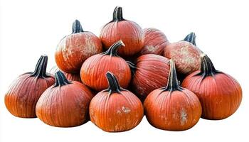 A pile of orange pumpkins with dark green stems stacked on top of each other on white background photo