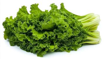 Close up of a bunch of fresh green mustard greens on a white surface in bright light photo