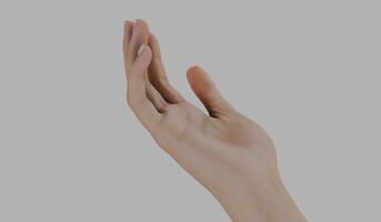 Hand, hand gesture, right hand, white background photo