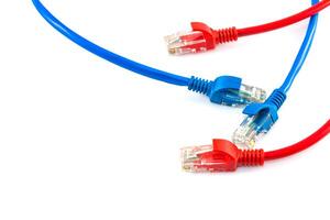 Three red and blue ethernet cables photo