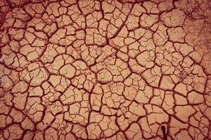 A close up of a cracked surface with brown and red paint photo