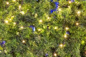A close up of a christmas tree with blue lights photo