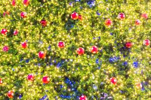 A christmas tree with many red and blue balls photo
