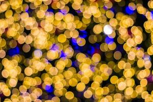 A close up of a christmas tree with many lights photo