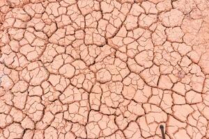 A close up of a cracked dry dirt surface photo