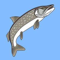 Colorful Mystus Fish Illustration vector