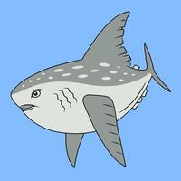 Ocean Sunfish Illustration on Blue Background vector