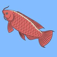 Red Arowana Fish Illustration vector
