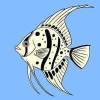 Elegant Line Art of Salema Fish vector