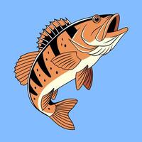 Peacock Bass Illustration on Blue Background vector