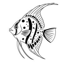 Salema Fish Line Art Illustration vector